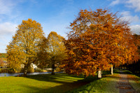 Peebles Autumn Colours by the Tweed_5663_90D