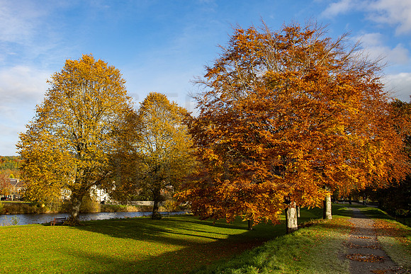 Peebles Autumn Colours by the Tweed_5663_90D