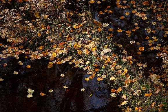 Rustic Waters_5466_5D