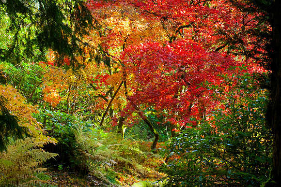 Stobo on Fire_2227-edit