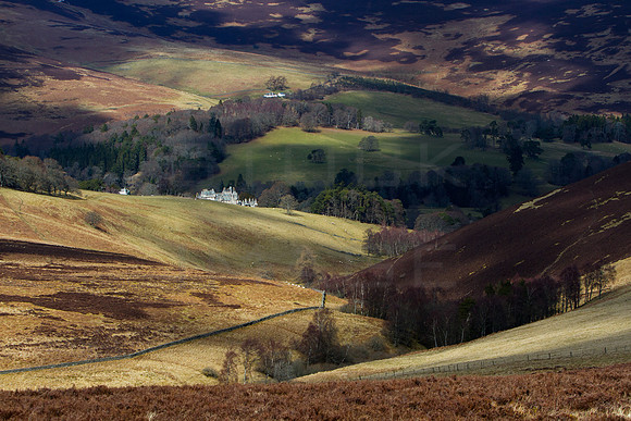 A Dappled Land-0666
