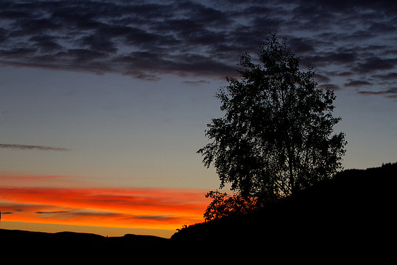 Red Sunrise-3356