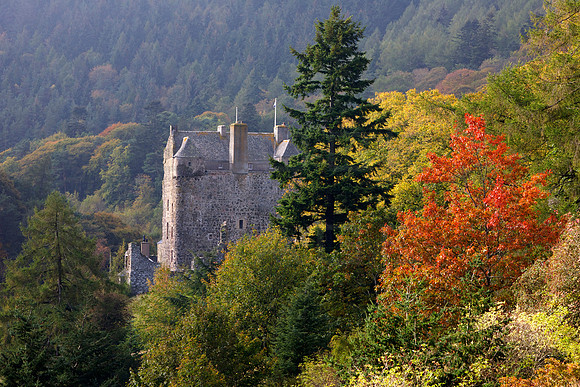 Neidpath Castle in Autumn_6595