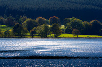 Star Light on St Mary's Loch-3419