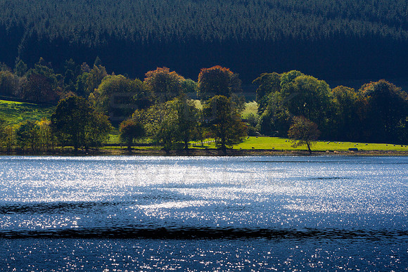 Star Light on St Mary's Loch-3419