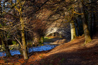 The Cuddy Brig over Leithen Water_8011-5d-local