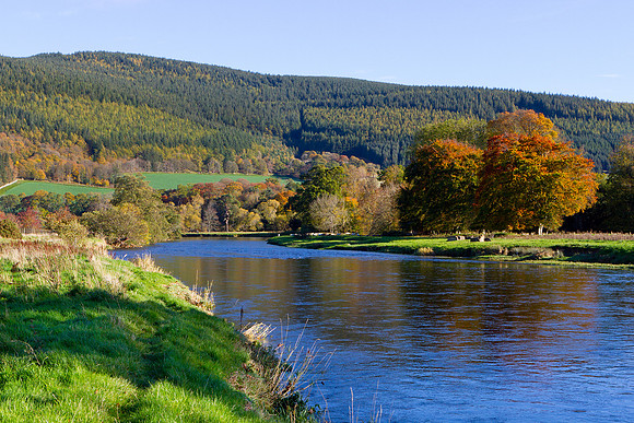 River Tweed towards Traquair Bank in Autumn_3627