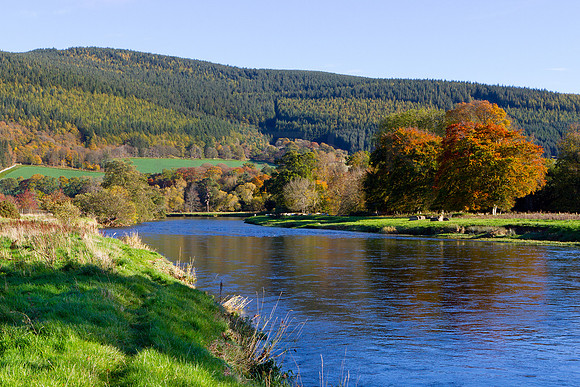 River Tweed towards Traquair Bank in Autumn_3627