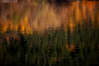 Golden Green_5592_5D
