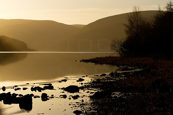 On Golden Pond_4734
