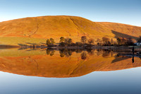 Standing Still by the Loch
