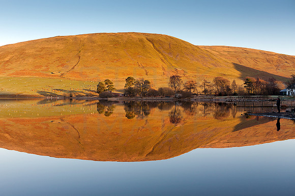 Standing Still by the Loch