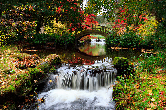 Japanese Bridge in Autumn_3850