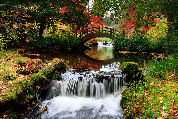Japanese Bridge in Autumn_3850