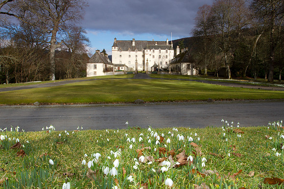 Traquair House Snowdrops_0204-05