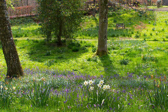Bowhill House Garden_4427