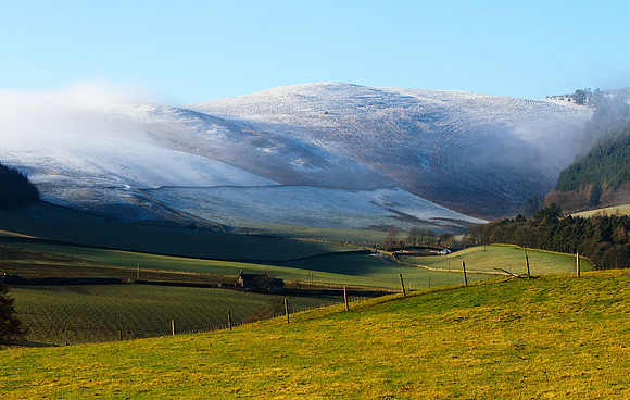 Chilly Misty Morning_0048