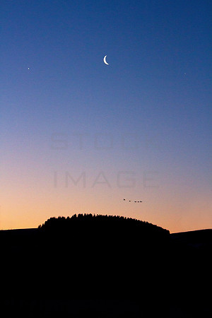 Crescent Moon between Venus and Jupiter_0143