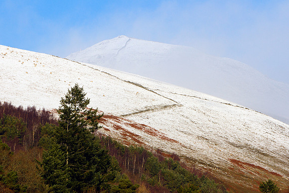 Winter Grazing under Lee Pen