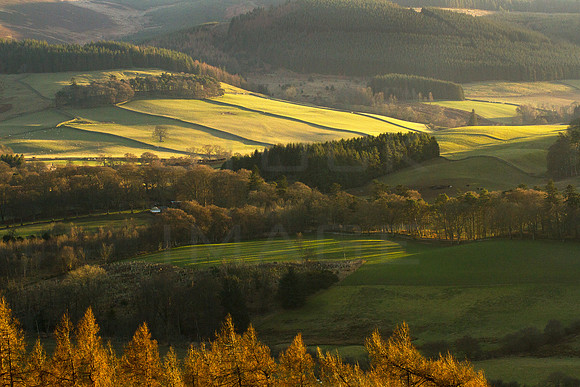 The Rolling Hills of Traquair_0096