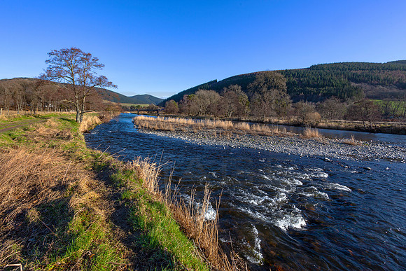 River Tweed in January 2022_7828-5D_local