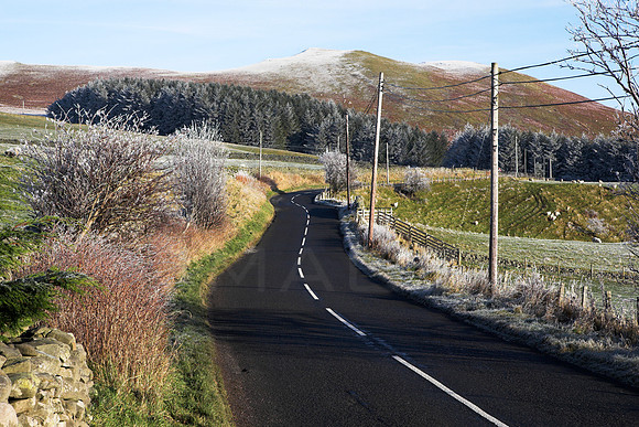On the Road to Yarrow_2518