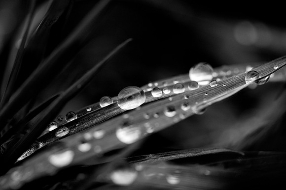 An Individual Amonst Many_8732