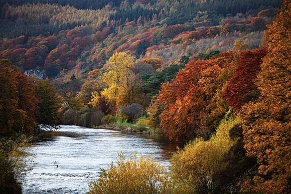 River Tweed by Peebles in Autumn_5468_5D