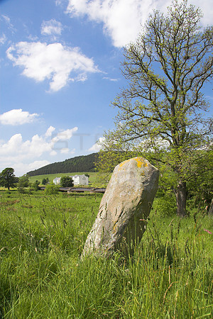 Standing Stone at Cardrona