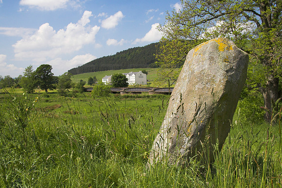 Standing Stone at Cardrona 2