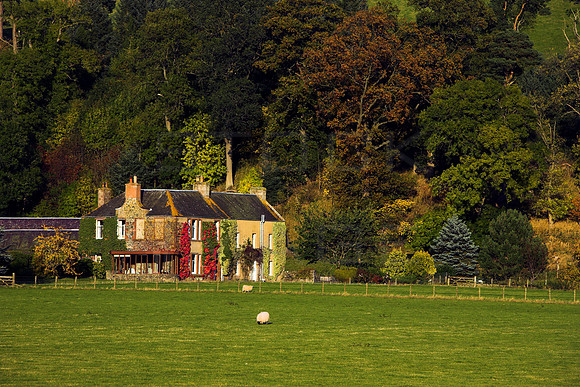 Nether Horsburgh Farm_0535
