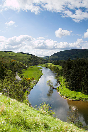 The Winding Tweed at Cardrona_1450-01
