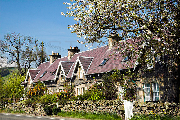Horseburgh Cottages in Spring Bloom_1145-01