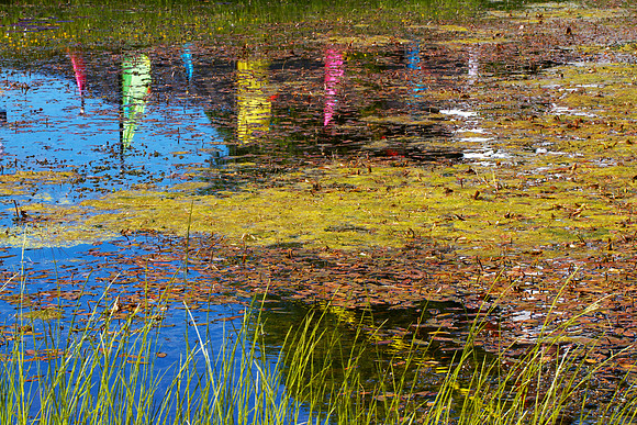 Prayers in the Pond_2452