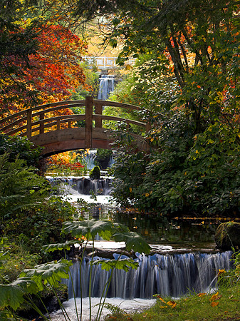 Stobo Falls_0743-01