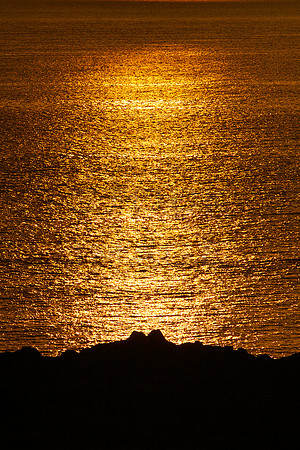 Liquid Gold_9905