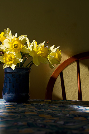 Daffodils in Blue Vase_0139