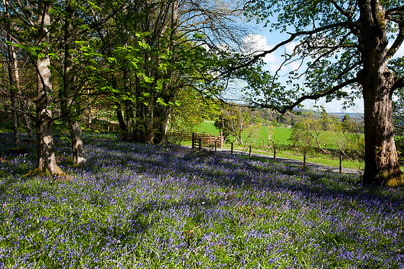 Spring into Summer_0877