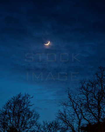 New Moon-March-31-2025_2197-Enhanced-NR