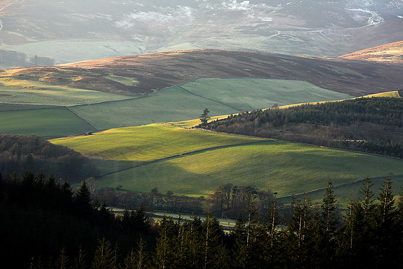 Traquair Landscape_2957