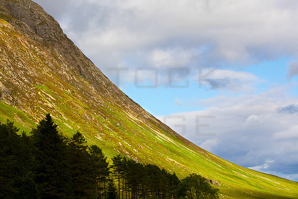 Landscape Sweep_0208
