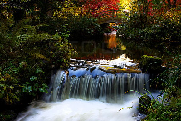 Harmony Falls_4513