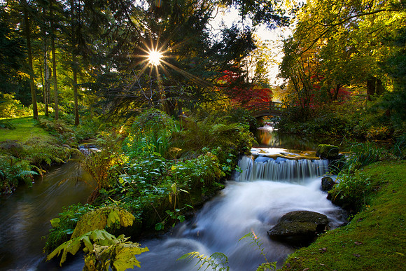 An Evening in Eden_4502