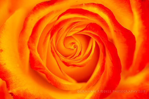Furnace Spiral_9352 copy