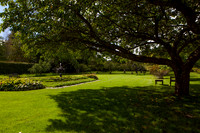 Made in the Shade_5104_5D