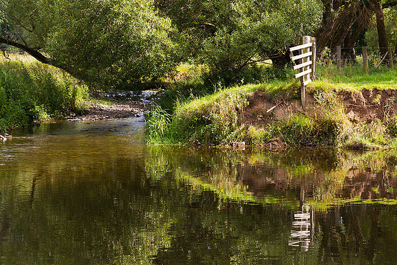 Quair meets Tweed_0554