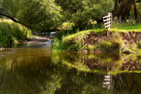 Quair meets Tweed_0554