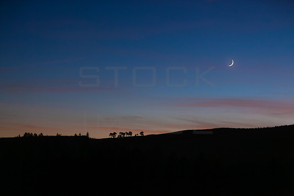 New Moon Jan_13_2024_5668_5D