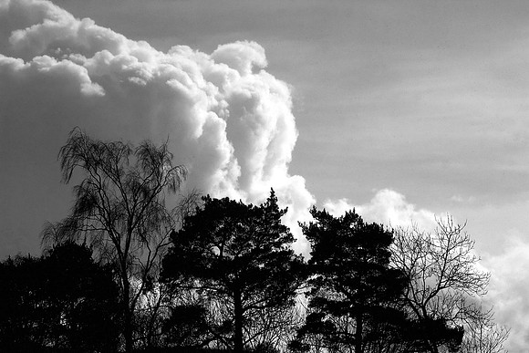 Buildng Cloud_4377.
