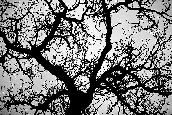A Lifetime's Connections_8376